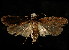  ( - 06-BLLOC-3219)  @14 [ ] CreativeCommons - Attribution (2010) Unspecified Centre for Biodiversity Genomics