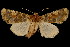  ( - 06-BLLOC-3236)  @14 [ ] CreativeCommons - Attribution (2010) Unspecified Centre for Biodiversity Genomics