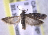  ( - BIOUG11928-B01)  @14 [ ] CreativeCommons - Attribution (2014) CBG Photography Group Centre for Biodiversity Genomics