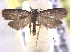  ( - BIOUG11928-C04)  @14 [ ] CreativeCommons - Attribution (2014) CBG Photography Group Centre for Biodiversity Genomics