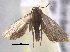  ( - BIOUG11928-D02)  @13 [ ] CreativeCommons - Attribution (2014) CBG Photography Group Centre for Biodiversity Genomics