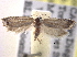  ( - BIOUG11928-F01)  @13 [ ] CreativeCommons - Attribution (2014) CBG Photography Group Centre for Biodiversity Genomics