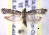  ( - BIOUG11928-H10)  @14 [ ] CreativeCommons - Attribution (2014) CBG Photography Group Centre for Biodiversity Genomics
