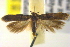 ( - BIOUG06176-A04)  @14 [ ] CreativeCommons - Attribution (2012) CBG Photography Group Centre for Biodiversity Genomics