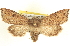  ( - BIOUG06176-D07)  @14 [ ] CreativeCommons - Attribution (2012) CBG Photography Group Centre for Biodiversity Genomics