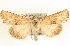  ( - BIOUG06176-E12)  @14 [ ] CreativeCommons - Attribution (2012) CBG Photography Group Centre for Biodiversity Genomics