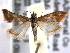  ( - BIOUG06259-E09)  @13 [ ] CreativeCommons - Attribution (2013) CBG Photography Group Centre for Biodiversity Genomics