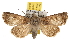  ( - BIOUG06458-B07)  @11 [ ] CreativeCommons - Attribution (2013) CBG Photography Group Centre for Biodiversity Genomics