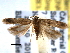  ( - BIOUG06458-G01)  @14 [ ] CreativeCommons - Attribution (2013) CBG Photography Group Centre for Biodiversity Genomics