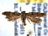  ( - BIOUG06458-G02)  @14 [ ] CreativeCommons - Attribution (2013) CBG Photography Group Centre for Biodiversity Genomics