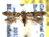  ( - BIOUG06458-H01)  @14 [ ] CreativeCommons - Attribution (2013) CBG Photography Group Centre for Biodiversity Genomics