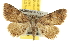  ( - BIOUG06458-H11)  @14 [ ] CreativeCommons - Attribution (2013) CBG Photography Group Centre for Biodiversity Genomics