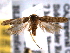  ( - BIOUG06605-A01)  @13 [ ] CreativeCommons - Attribution (2013) CBG Photography Group Centre for Biodiversity Genomics