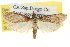  ( - BIOUG06606-H11)  @14 [ ] CreativeCommons - Attribution (2013) CBG Photography Group Centre for Biodiversity Genomics