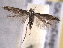  ( - BIOUG06807-D09)  @14 [ ] CreativeCommons - Attribution (2013) CBG Photography Group Centre for Biodiversity Genomics