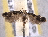  ( - BIOUG06807-E01)  @14 [ ] CreativeCommons - Attribution (2013) CBG Photography Group Centre for Biodiversity Genomics