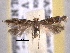  ( - BIOUG06807-E10)  @14 [ ] CreativeCommons - Attribution (2013) CBG Photography Group Centre for Biodiversity Genomics