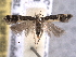  ( - BIOUG06807-G02)  @13 [ ] CreativeCommons - Attribution (2013) CBG Photography Group Centre for Biodiversity Genomics