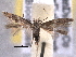  ( - BIOUG06807-G07)  @14 [ ] CreativeCommons - Attribution (2013) CBG Photography Group Centre for Biodiversity Genomics