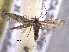  ( - BIOUG06807-G09)  @14 [ ] CreativeCommons - Attribution (2013) CBG Photography Group Centre for Biodiversity Genomics