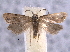  ( - BIOUG06941-G03)  @12 [ ] CreativeCommons - Attribution (2013) CBG Photography Group Centre for Biodiversity Genomics