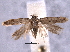  ( - BIOUG06942-A01)  @14 [ ] CreativeCommons - Attribution (2013) CBG Photography Group Centre for Biodiversity Genomics