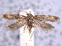  ( - BIOUG06942-D01)  @14 [ ] CreativeCommons - Attribution (2013) CBG Photography Group Centre for Biodiversity Genomics