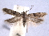  ( - BIOUG06942-F12)  @15 [ ] CreativeCommons - Attribution (2013) CBG Photography Group Centre for Biodiversity Genomics