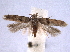  ( - BIOUG06942-G01)  @14 [ ] CreativeCommons - Attribution (2013) CBG Photography Group Centre for Biodiversity Genomics