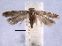  ( - BIOUG06942-G08)  @14 [ ] CreativeCommons - Attribution (2013) CBG Photography Group Centre for Biodiversity Genomics