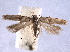  ( - BIOUG06942-G11)  @14 [ ] CreativeCommons - Attribution (2013) CBG Photography Group Centre for Biodiversity Genomics