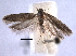  ( - BIOUG06943-D07)  @14 [ ] CreativeCommons - Attribution (2013) CBG Photography Group Centre for Biodiversity Genomics