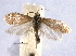  ( - BIOUG06947-A11)  @13 [ ] CreativeCommons - Attribution (2013) CBG Photography Group Centre for Biodiversity Genomics
