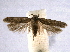  ( - BIOUG06948-B03)  @13 [ ] CreativeCommons - Attribution (2013) CBG Photography Group Centre for Biodiversity Genomics