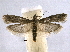  ( - BIOUG06948-C01)  @14 [ ] CreativeCommons - Attribution (2013) CBG Photography Group Centre for Biodiversity Genomics