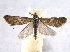  ( - BIOUG06948-G11)  @13 [ ] CreativeCommons - Attribution (2013) CBG Photography Group Centre for Biodiversity Genomics