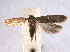  ( - BIOUG06949-D03)  @13 [ ] CreativeCommons - Attribution (2013) CBG Photography Group Centre for Biodiversity Genomics