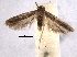  ( - BIOUG06949-E01)  @13 [ ] CreativeCommons - Attribution (2013) CBG Photography Group Centre for Biodiversity Genomics