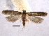  ( - BIOUG06949-F09)  @14 [ ] CreativeCommons - Attribution (2013) CBG Photography Group Centre for Biodiversity Genomics