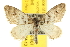  ( - BIOUG06950-H07)  @14 [ ] CreativeCommons - Attribution (2013) CBG Photography Group Centre for Biodiversity Genomics