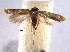  ( - BIOUG06952-D07)  @13 [ ] CreativeCommons - Attribution (2013) CBG Photography Group Centre for Biodiversity Genomics