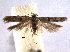  ( - BIOUG06952-E01)  @14 [ ] CreativeCommons - Attribution (2013) CBG Photography Group Centre for Biodiversity Genomics