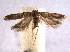  ( - BIOUG07104-A02)  @14 [ ] CreativeCommons - Attribution (2013) CBG Photography Group Centre for Biodiversity Genomics