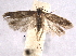  ( - BIOUG07104-C12)  @14 [ ] CreativeCommons - Attribution (2013) CBG Photography Group Centre for Biodiversity Genomics