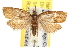  ( - BIOUG07105-B02)  @13 [ ] CreativeCommons - Attribution (2013) CBG Photography Group Centre for Biodiversity Genomics