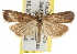  ( - BIOUG07105-G01)  @14 [ ] CreativeCommons - Attribution (2013) CBG Photography Group Centre for Biodiversity Genomics