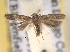  ( - BIOUG07782-D07)  @13 [ ] CreativeCommons - Attribution (2013) CBG Photography Group Centre for Biodiversity Genomics