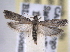  ( - BIOUG09819-C10)  @14 [ ] CreativeCommons - Attribution (2014) CBG Photography Group Centre for Biodiversity Genomics