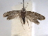  ( - BIOUG09819-E07)  @13 [ ] CreativeCommons - Attribution (2014) CBG Photography Group Centre for Biodiversity Genomics