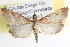  ( - BIOUG11929-B03)  @14 [ ] CreativeCommons - Attribution (2014) CBG Photography Group Centre for Biodiversity Genomics